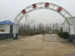 高薪招聘才干人员