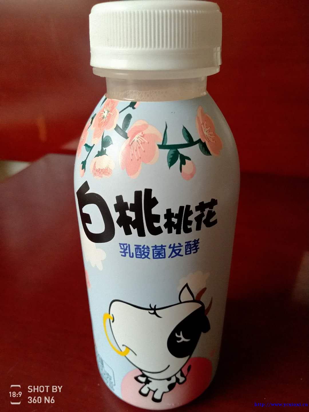 一树山楂,白桃乳酸菌,诚招全国区域代理商1833873269 一树山楂,白桃乳酸菌,诚招全国区域代理商1833873269