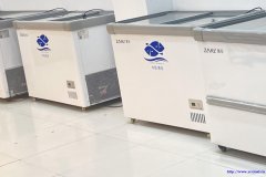 全新未使用冰柜超低价出售